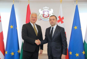Ираклий Гарибашвили встретился с вице-премьер-министром Венгрии