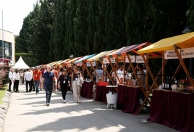 Международная выставка вина WinExpo 2023 начала работу в Тбилиси