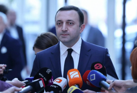 Власти Грузии не допустят украинизации или афганизации страны – премьер