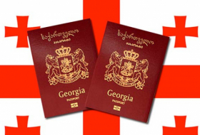 Парламент Грузии утвердил поправки в закон о гражданстве