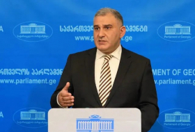 Михаил Сарджвеладзе - Саломе Зурабишвили не имеет перспектив иметь серьезное влияние и вес в оппозиции