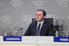 Премьер-министр Грузии участвует в панельной дискуссии на Всемирном экономическом форуме