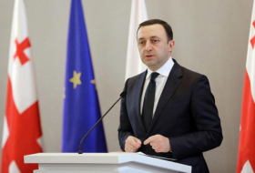 PM Garibashvili resigns