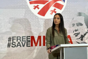 Софо Джапаридзе - «Национальное движение» начинает сбор подписей с требованием освобождения Михаила Саакашвили