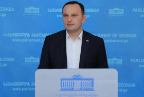 Georgian MP decries economic strain amid controversial legislation